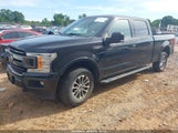 FORD F-150 XLT 1FTFW1E5XKFD24737 снимка