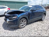 MAZDA CX-30 PREMIUM 3MVDMBDL7MM236474 снимка