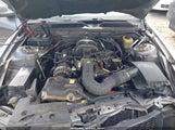 Ford Mustang V6 1ZVFT80N365257951 снимка