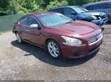 NISSAN MAXIMA 3.5 SV 1N4AA5AP6DC826890 снимка
