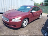 NISSAN MAXIMA 3.5 SV 1N4AA5AP6DC826890 снимка