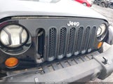 Jeep Wrangler Unlimited Sahara 1J8GA59167L156243 fotografie