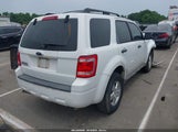 FORD ESCAPE 1FMCU02789KC10287 fotografie