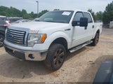 FORD F-150 XLT 1FTFW1ET0BFB31916 снимка