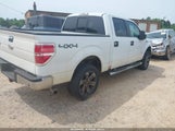 FORD F-150 XLT 1FTFW1ET0BFB31916 снимка