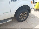 FORD F-150 XLT 1FTFW1ET0BFB31916 снимка