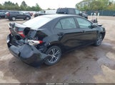 TOYOTA COROLLA LE PLUS 2T1BURHE7GC691609 снимка