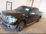 FORD F-150 LARIAT 1FTFW1ET0BFA93300 снимка