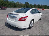 NISSAN MAXIMA 3.5 SV 1N4AA5AP2AC873538 снимка