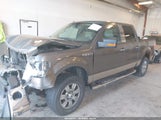 FORD F-150 FX4/HARLEY-DAVIDSON/KING RANCH/LARIAT/PLATINUM/XL/XLT 1FTFW1EV3AFB62531 fotografie