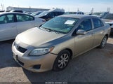 TOYOTA COROLLA LE 2T1BU4EE7AC508188 fotografie