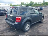 FORD ESCAPE LIMITED 1FMCU94739KA24836 снимка