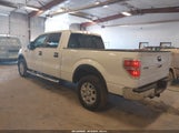 FORD F-150 XLT 1FTFW1EF4EFB45137 снимка