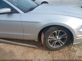 FORD MUSTANG V6 PREMIUM 1ZVBP8AM4E5302273 снимка