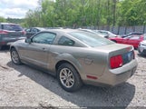 FORD MUSTANG V6 DELUXE/V6 PREMIUM 1ZVFT80N355160005 photo