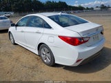 HYUNDAI SONATA GLS 5NPEB4ACXEH816949 снимка