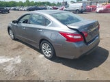 NISSAN ALTIMA 2.5 S 1N4AL3AP4HC144031 снимка