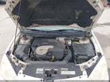 PONTIAC G6 GTP 1G2ZM551X64224909 fotografie