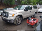 FORD F-150 FX4/LARIAT/XL/XLT 1FTFX1EV0AFC83319 fotografie
