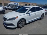 Hyundai Sonata Sport 5NPE34AF7GH377784 снимка