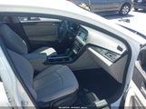 Hyundai Sonata Sport 5NPE34AF7GH377784 снимка