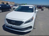 Hyundai Sonata Sport 5NPE34AF7GH377784 снимка