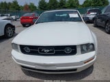 FORD MUSTANG V6 1ZVHT84N765251072 снимка