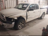 DODGE RAM 1500 SLT/SPORT/TRX 1D7RV1GT8AS226944 fotografie