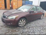 HONDA ACCORD 3.5 EX-L 5KBCP3F89AB013213 снимка