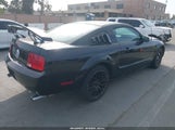 FORD MUSTANG V6 DELUXE/V6 PREMIUM 1ZVFT80N975282483 снимка