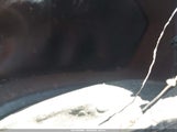 HYUNDAI SONATA SEL 5NPE34AF5KH740284 снимка