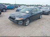 ACURA TSX JH4CL95948C000558 снимка