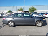 TOYOTA CAMRY XLE V6 4T1BK46K49U081217 photo
