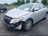 TOYOTA COROLLA LE JTDBU4EE4A9095569 снимка