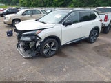 NISSAN ROGUE PLATINUM INTELLIGENT AWD JN8AT3DD1MW313625 fotografie