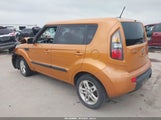 KIA SOUL + KNDJT2A21B7312300 fotografie
