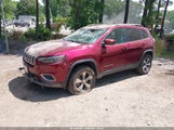 JEEP CHEROKEE LIMITED 4X4 1C4PJMDN8LD602361 снимка