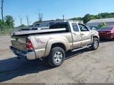 TOYOTA TACOMA PRERUNNER V6 5TETU62N35Z025107 fotografie