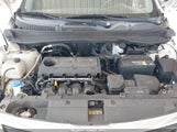 KIA SPORTAGE LX KNDPB3A2XD7521010 снимка