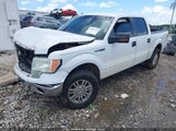 Ford F-150 Xl/Xlt 1FTRW12879FA69583 снимка