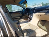 ACURA TL 19UUA66256A036300 снимка