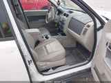 Ford Escape Xlt 1FMCU9D73BKC15873 снимка