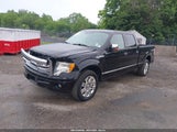 FORD F-150 FX4/KING RANCH/LARIAT/PLATINUM/XL/XLT 1FTPW14V39FA99058 photo