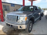 FORD F-150 FX4/LARIAT/XL/XLT 1FTFX1EV6AFC02274 fotografie
