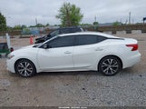 NISSAN MAXIMA 3.5 PLATINUM 1N4AA6AP9GC437459 снимка