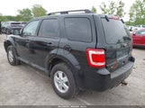 FORD ESCAPE XLT 1FMCU0D77AKA11703 снимка