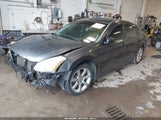 NISSAN MAXIMA 3.5 SE 1N4BA41E78C838579 снимка