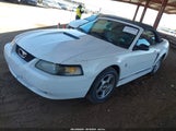 FORD MUSTANG 1FAFP44491F229968 fotografie