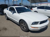 FORD MUSTANG V6 DELUXE/V6 PREMIUM 1ZVHT80NX55179885 снимка