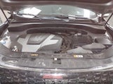 KIA SORENTO EX V6 5XYKU4A7XEG523138 fotografie